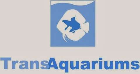 Photo: Trans Aquariums Online